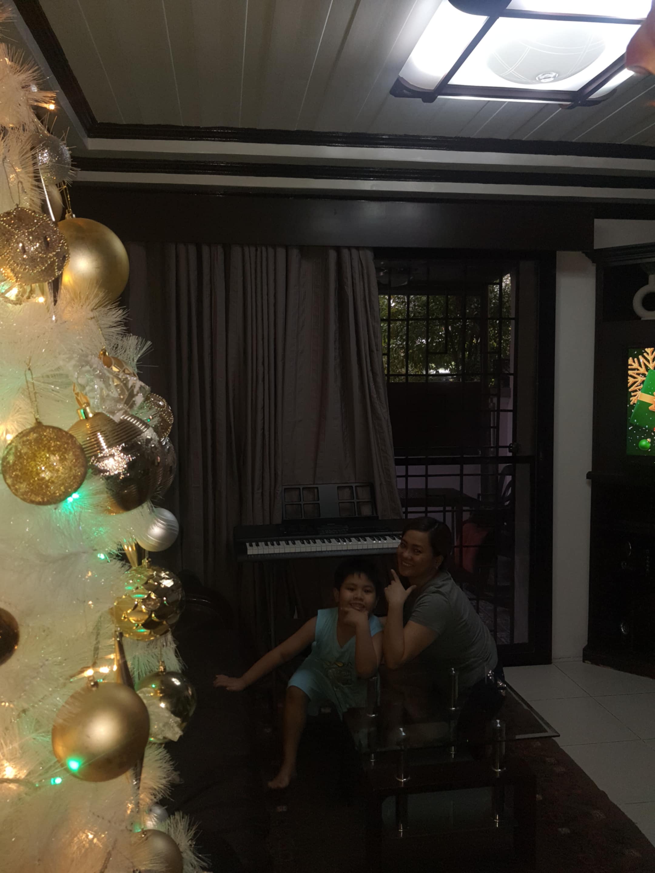 XmastreeSetup